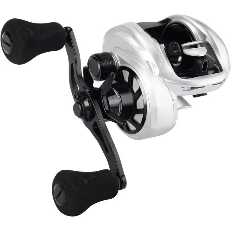 Un moulinet de pêche à lancer  - Baitcasting Reel avis et prix